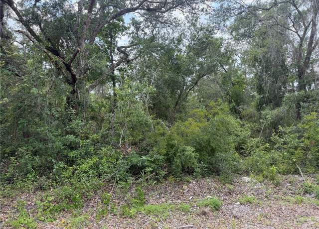 Property at 7419 Southeast Ave, Webster, FL 33597