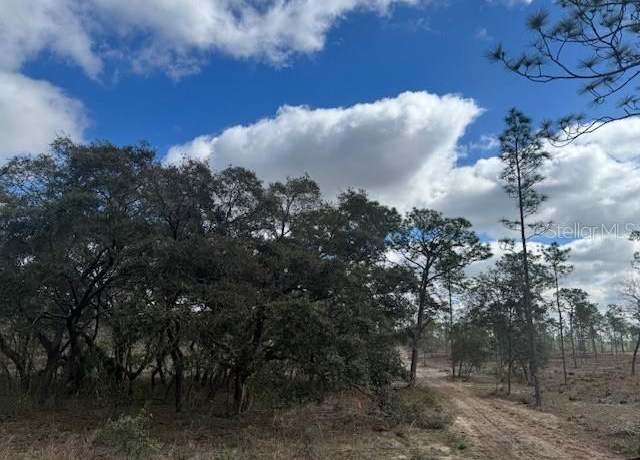 Property at LOT D SE State Road 121, Morriston, FL 32668
