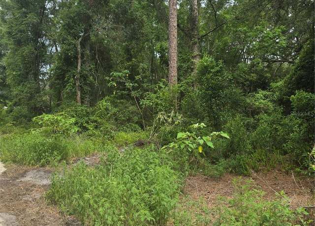 Property at 1650 SE 178th Ln, Summerfield, FL 34491