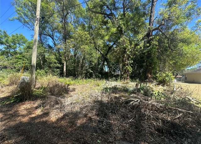 Property at Highland Park Blvd, Mount Dora, FL 32757