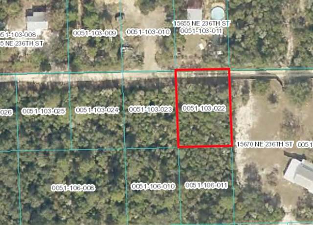 Property at NE 236 St, Fort Mc Coy, FL 32134