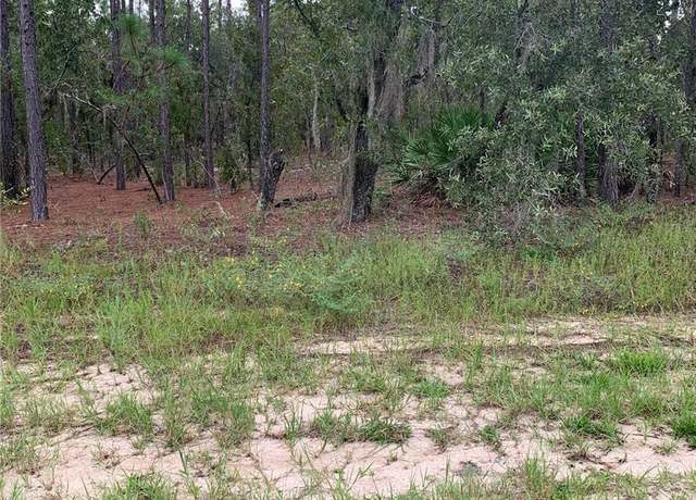 Property at 2810 W Xenox Dr, Citrus Springs, FL 34433