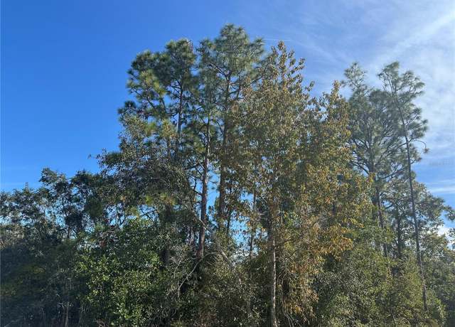 Property at 4293 Landover Blvd, Spring Hill, FL 34609