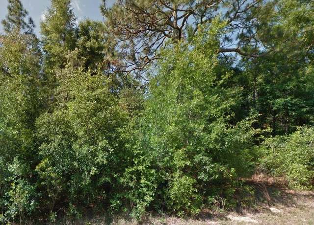 Property at 1952 W Beach Plum Dr, Citrus Springs, FL 34434