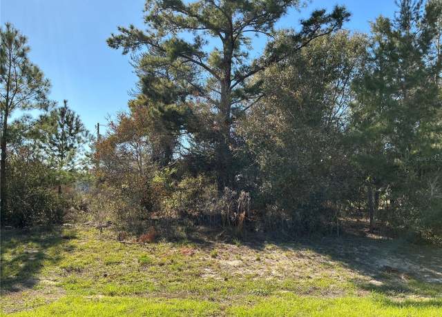 Property at 0 SW 37th Ter, Ocala, FL 34473