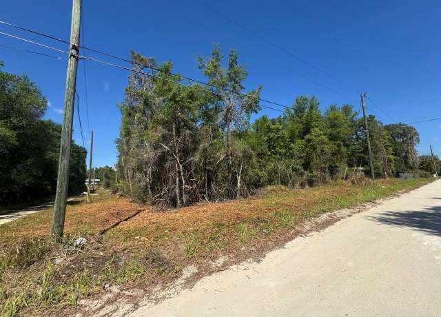 Property at NE 131st Ln, Salt Springs, FL 32134