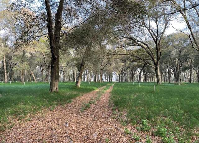 Property at 1494 Tilly Byrd Rd, Seville, FL 32190