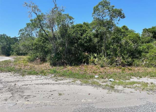 Property at TBD Fisher Way, Ocklawaha, FL 32179