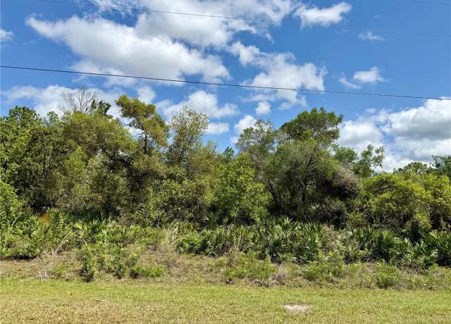 Property at LOT 29 Apricot Ave, Eustis, FL 32736