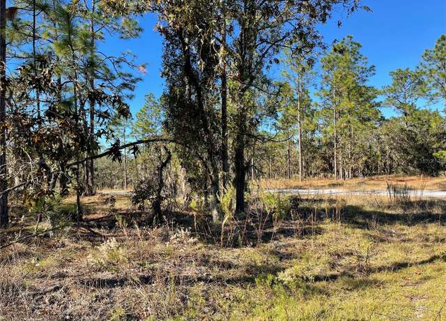 Property at Lot 1 SE 131st Ave, Dunnellon, FL 34431