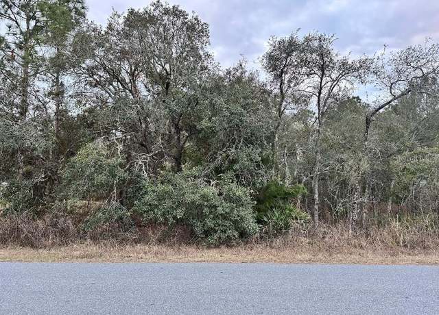 Property at 11434 Poorwill Ave, Brooksville, FL 34614