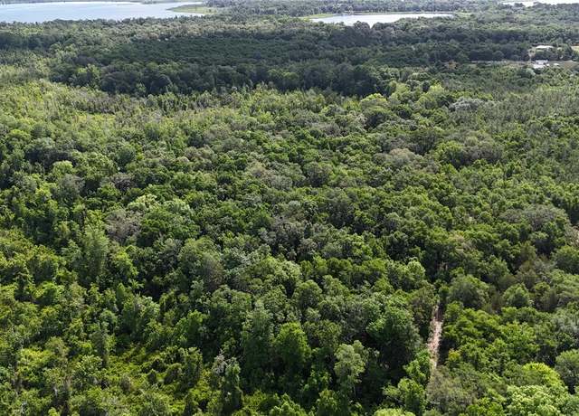 Property at SE 225th Dr, Hawthorne, FL 32640