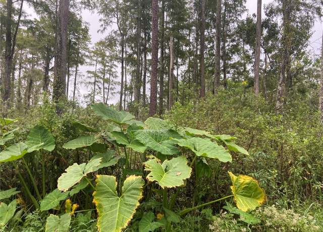 Property at NO Name Parcel 28173102040030 St, Lake Helen, FL 32744