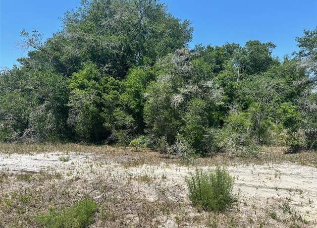 Property at TBD Orange Rd, Ocklawaha, FL 32179