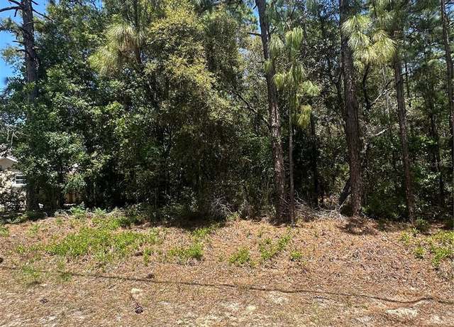 Property at 557 W Anderson Ln, Citrus Springs, FL 34434