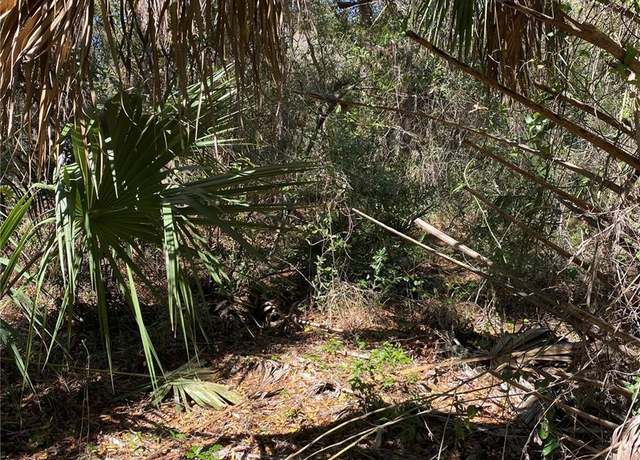 Property at 2519 W Plumtree Ln, Dunnellon, FL 34433