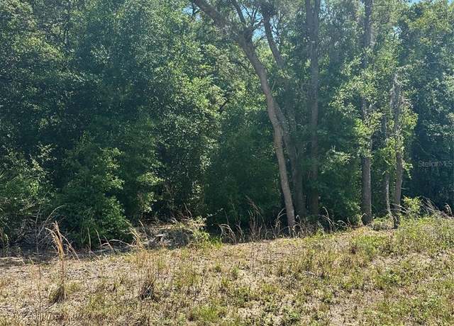 Property at TBD Fisher Lane Ct, Ocklawaha, FL 32179