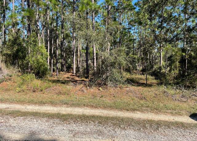 Property at LOTS 16 & 17 SE 130 Ct, Dunnellon, FL 34431