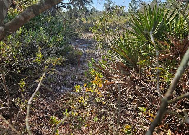 Property at Sugarfoot Ave, Lake Wales, FL 33859