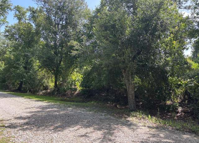 Property at 847 Greenbriar Dr, Christmas, FL 32709