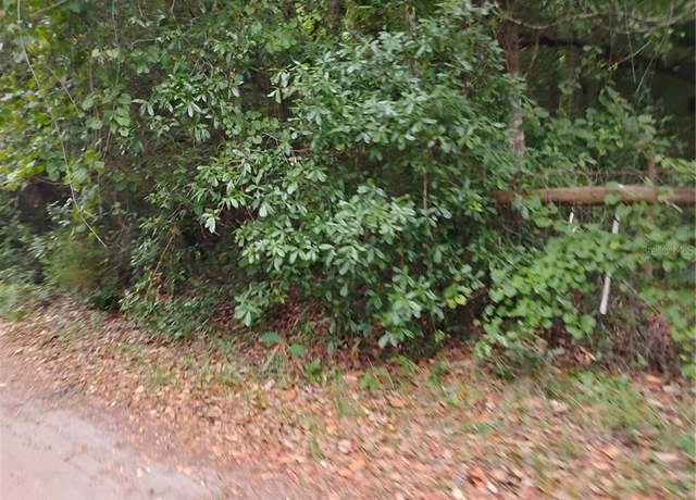 Property at 146th Pl, Fort Mc Coy, FL 32134