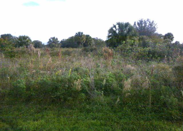 Property at 16781 NW 242nd St, Okeechobee, FL 34972