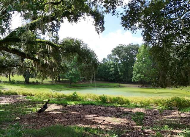 Property at SW County Road 778, Fort White, FL 32038