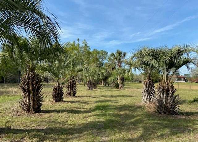 Property at 23206 NW 102nd Ave, Alachua, FL 32615