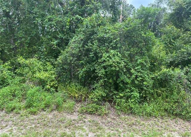 Property at Gasline Rd, Deland, FL 32724