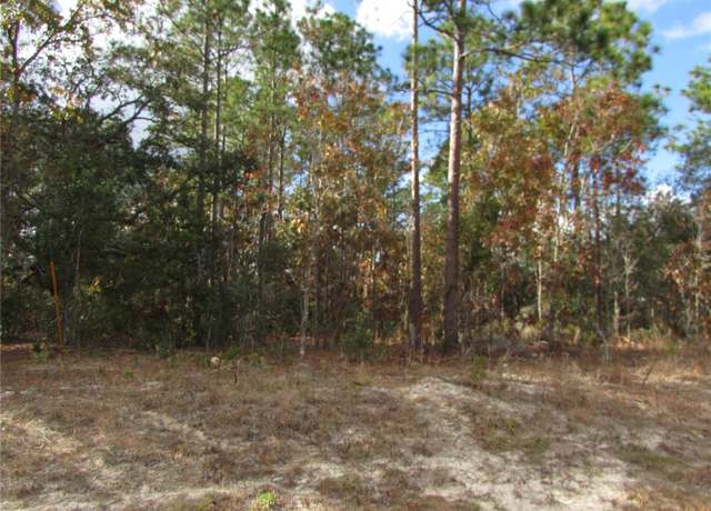Property at Lot 5 & 6 SW 168 Cir, Ocala, FL 34481