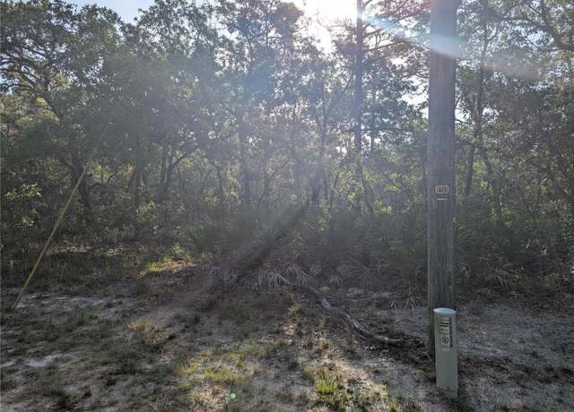 Property at 19036 Retriever Rd, Brooksville, FL 34614
