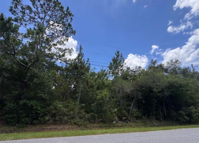 Property at 18422 Hewlett Rd, Orlando, FL 32820