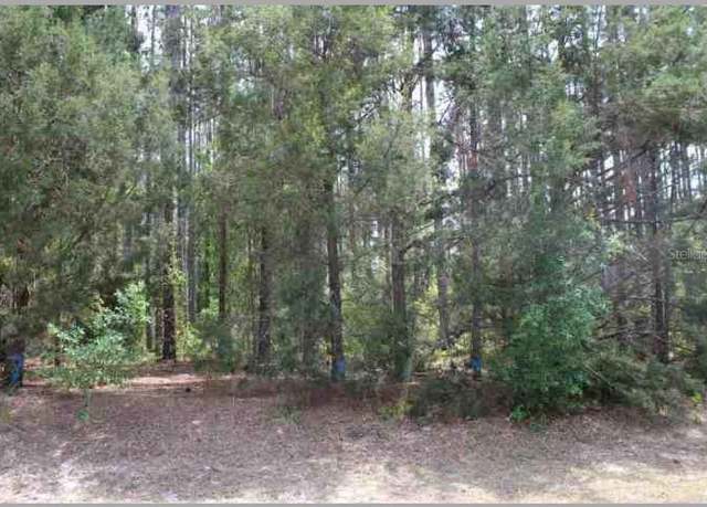 Property at Bill Collins Rd, Eustis, FL 32736