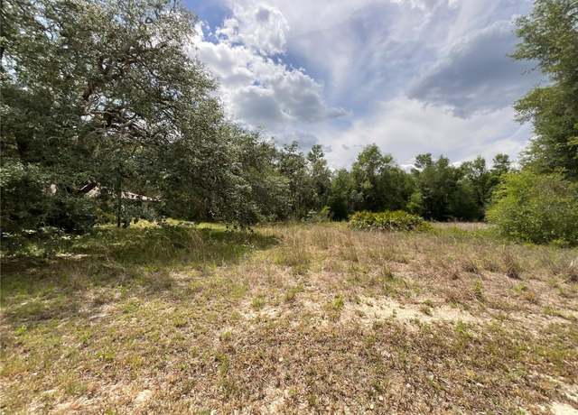 Property at 34331 Rim Rock St, Webster, FL 33597