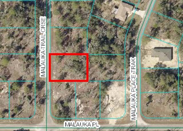 Property at 0 Malauka Trail Crse #04, Ocklawaha, FL 32179