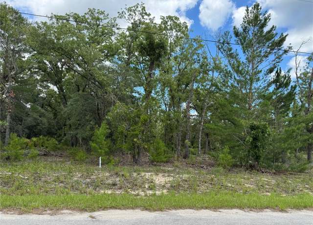 Property at 0 Malauka Trail Crse #04, Ocklawaha, FL 32179