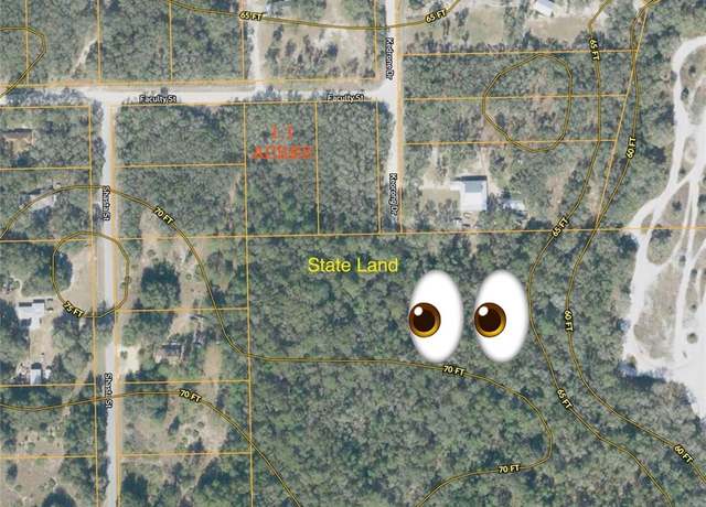 Property at Faculty St, Webster, FL 33597