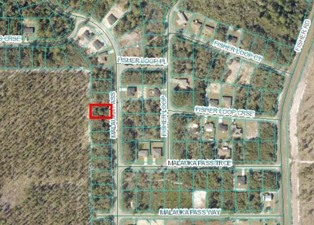 Property at Malauka Pass, Ocklawaha, FL 32179