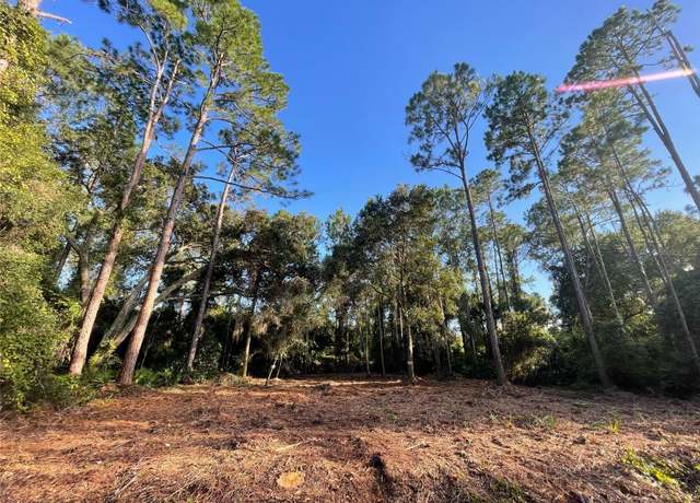Property at 325 Redwood Blvd, Georgetown, FL 32139