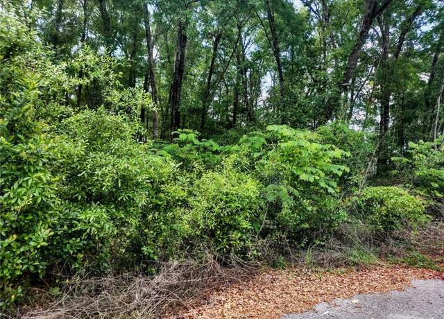 Property at TBD NE 6th Cir, Williston, FL 32696