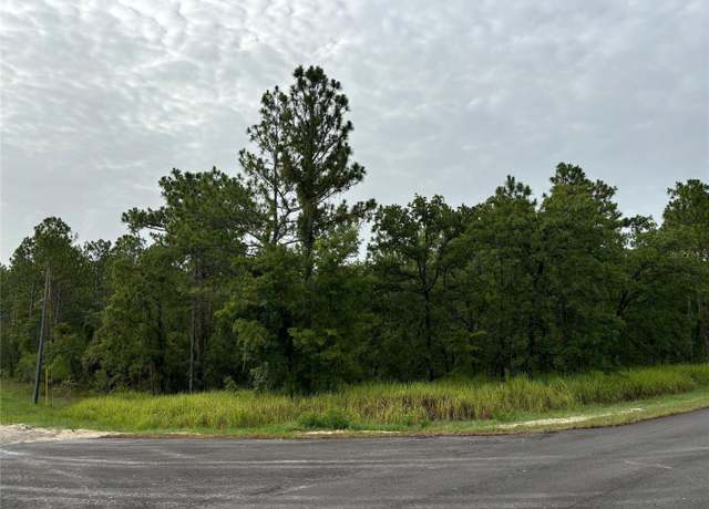 Property at Lot 1 Penn State Rd, Weeki Wachee, FL 34614