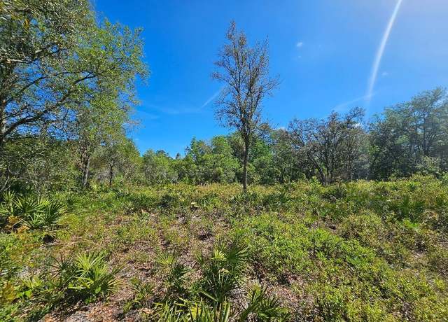 Property at 8130 Shellstream Dr, Webster, FL 33597