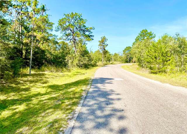 Property at 0 Guava Pass, Ocklawaha, FL 32179