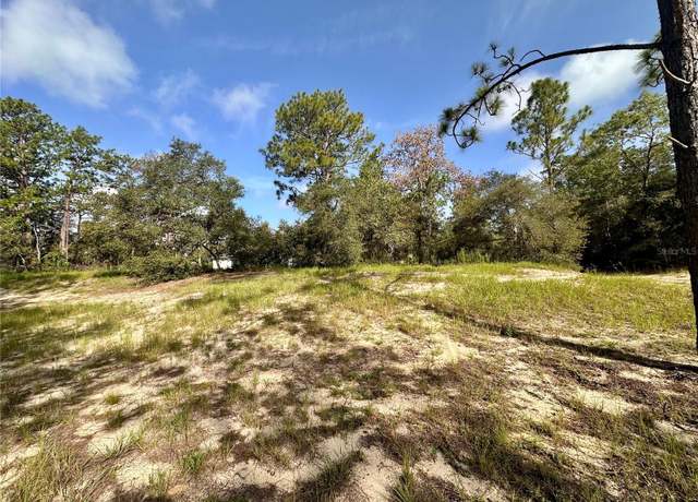 Property at 0 Guava Pass, Ocklawaha, FL 32179