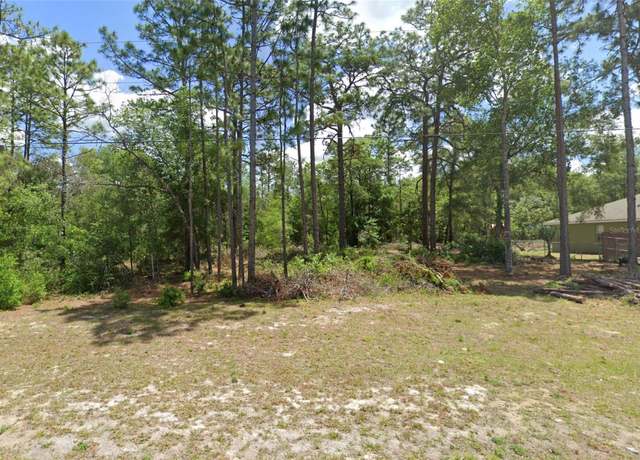 Property at 9771 N Mitchelle Dr, Citrus Springs, FL 34434