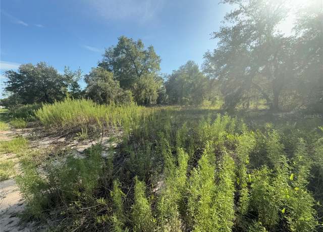 Property at SW Winding Hills Rd, Dunnellon, FL 34431