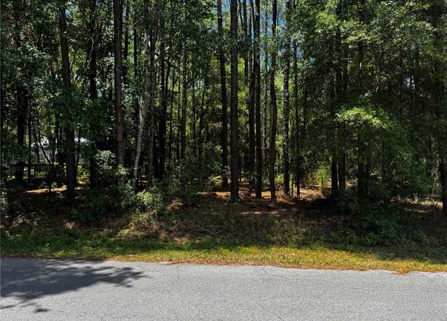 Property at SW 202nd Ct, Dunnellon, FL 34431