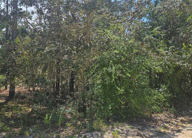 Property at 0 NE 67th Ln, Bronson, FL 32621