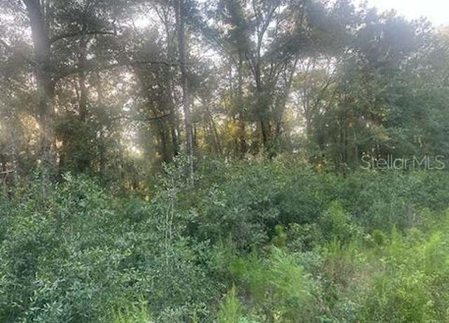 Property at Lots 2 & 3 SW 156 Ave, Ocala, FL 34481