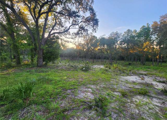 Property at TBD NE 82nd Pl, Bronson, FL 32621